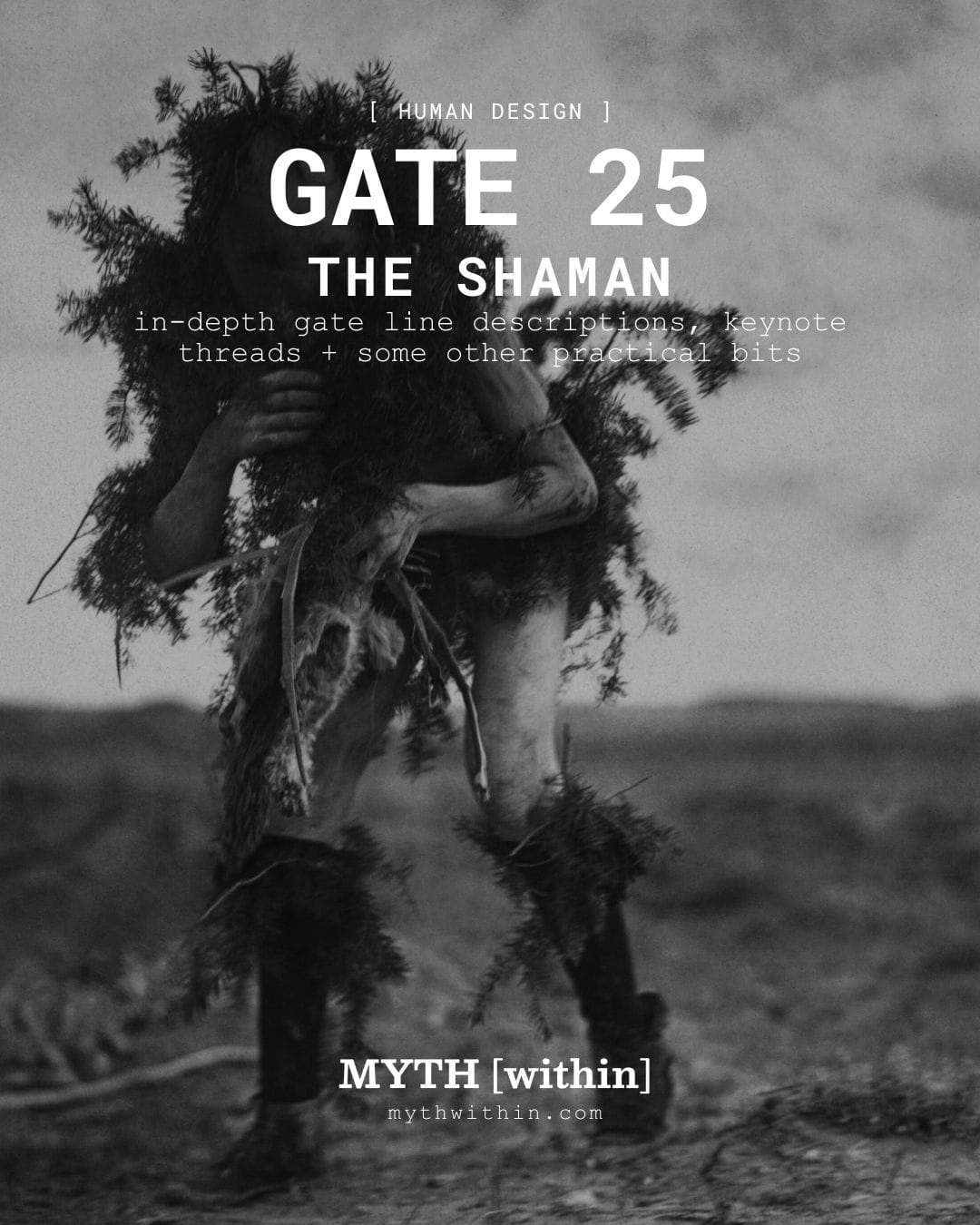 Gate 25 in Human Design