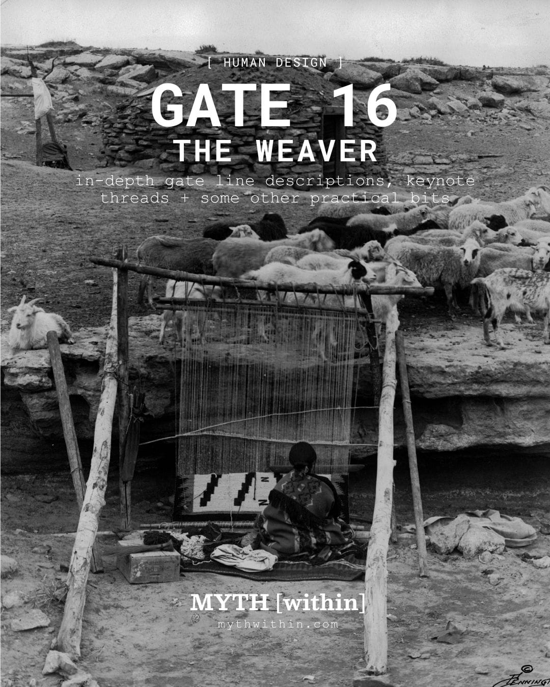 Gate 16 in Human Design