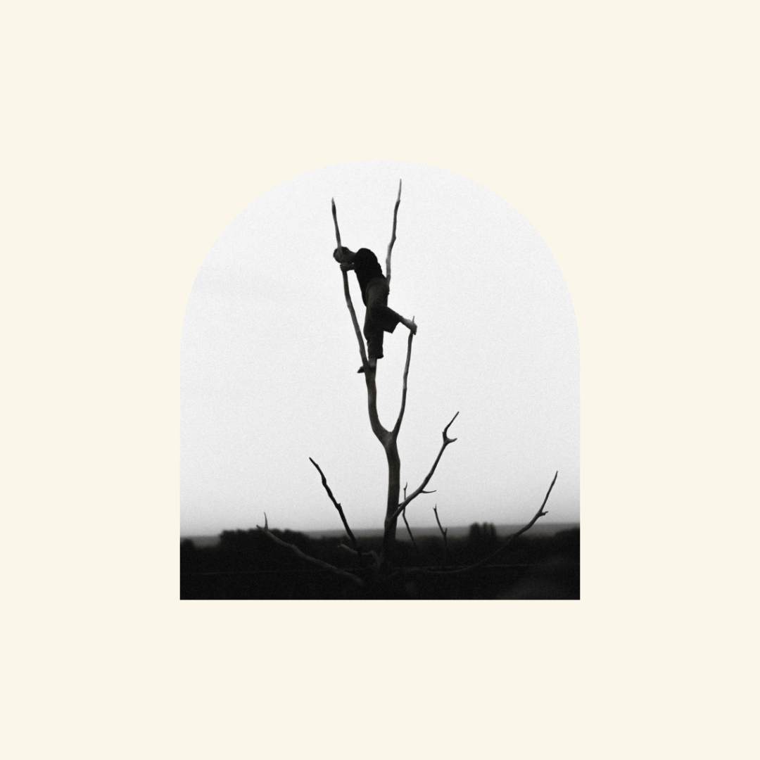 The Premise of Reincarnation