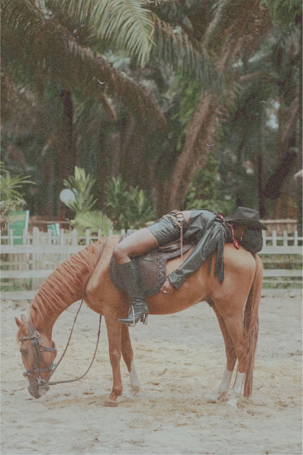 The Astrology of Rest