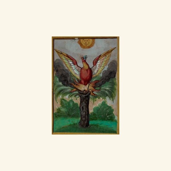 Description of the Phoenix